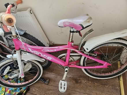 Photo of free Pink bike size 18 (Westmeath) #1