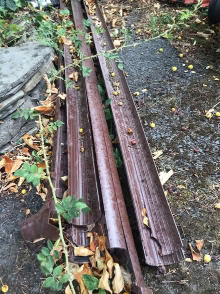 Photo of free Greenhouse guttering (Clunton SY7) #2
