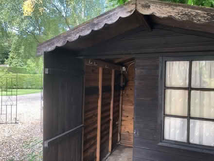 Photo of free 6ft x 6ft shed/summerhouse (East Carleton NR14) #3