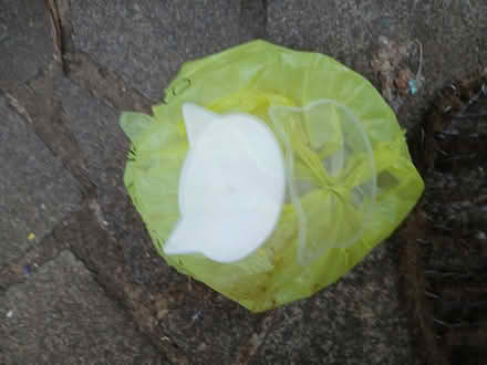Photo of free Cat face plastic discs (GU3 1JQ Compton) #1