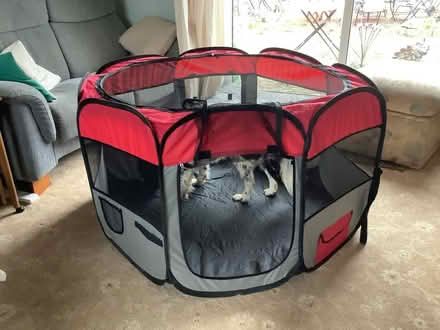 Photo of free puppy playpen (Evercreech, BA4) #1