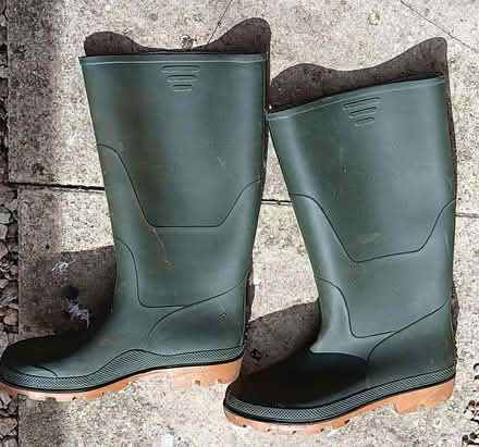 Photo of free Wellies (Bussage GL6) #1