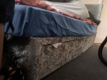 Photo of free Single divan bed (BN24) #1