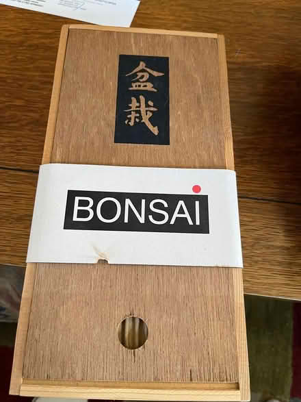 Photo of free Grow a Bonsai Tree Kit (Springfield, Delco) #1