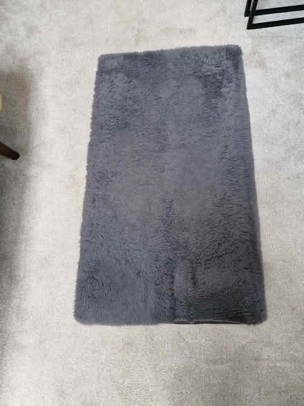 Photo of free Rug (Great Baddow CM2) #2