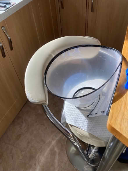 Photo of free Firm dog neck cone (Upper Radley OX14) #1