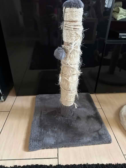 Photo of free cat tree scratcher (Ilford) #1