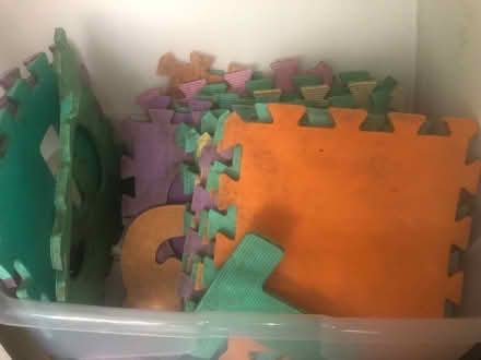 Photo of free Interlocking foam tiles (Latchford WA4) #1