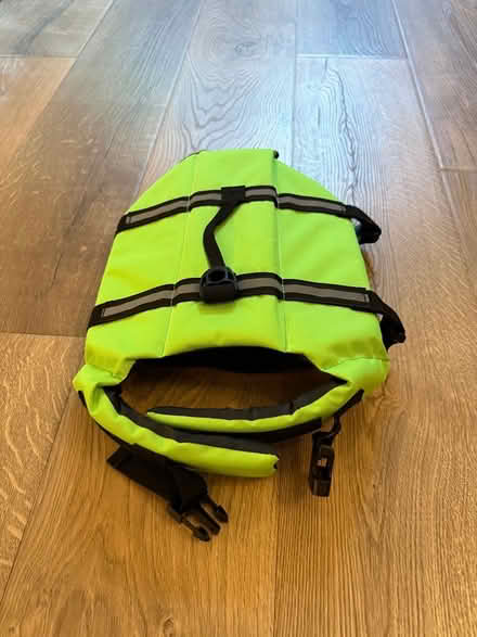 Photo of free Doggo Life Preserver (Downtown) #1