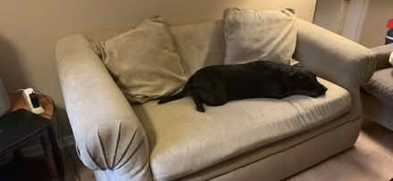 Photo of free couch (Galleria area) #3