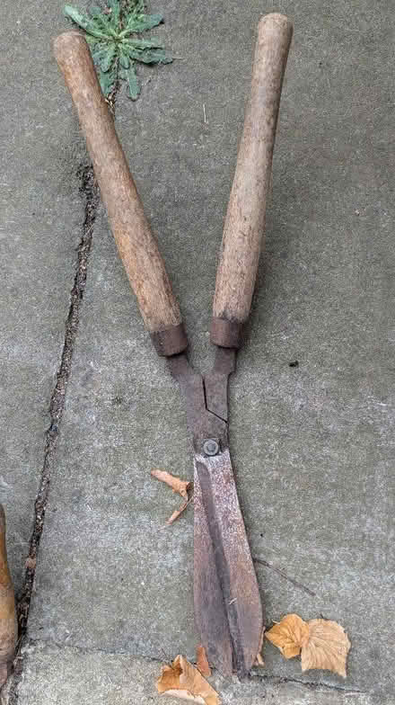 Photo of free Garden shears (Leckhampton GL53) #1