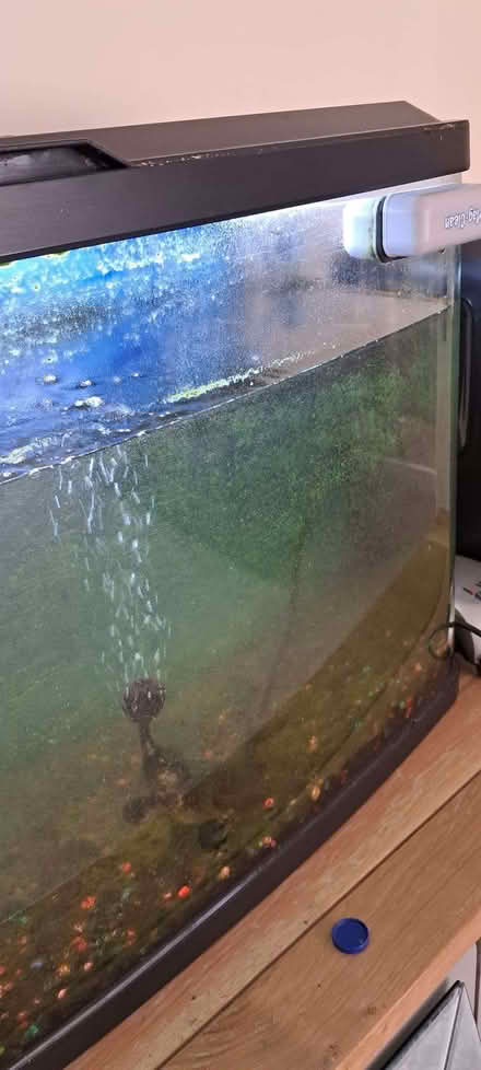 Photo of free Fish tank (Shawbury SY4) #1
