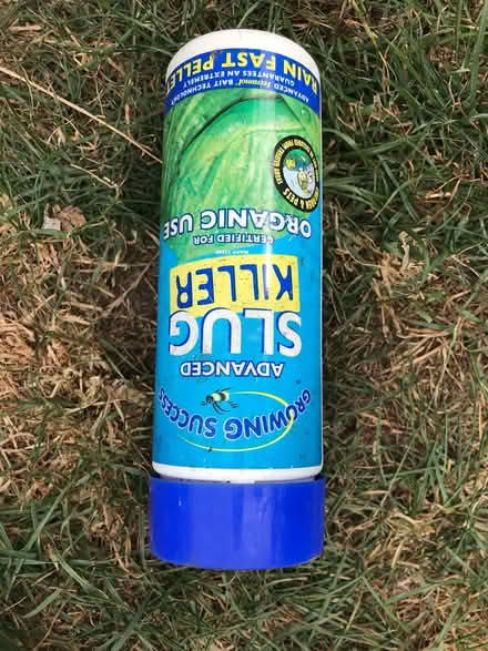 Photo of free organic slug killer (Arundel BN18) #1