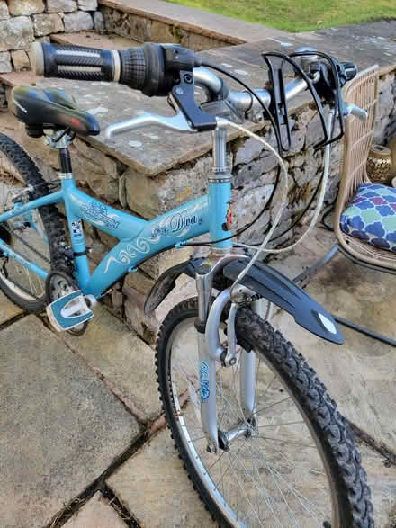 Photo of free Girl's Bike (Great Strickland CA10) #2