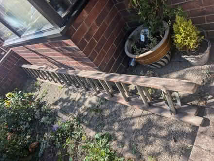 Photo of free Wooden ladder (Belper DE56) #1