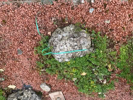 Photo of free Rockery ?concrete stones (Sockbridge CA10) #1