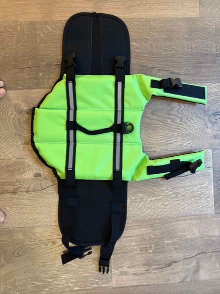 Photo of free Doggo Life Preserver (Downtown) #3