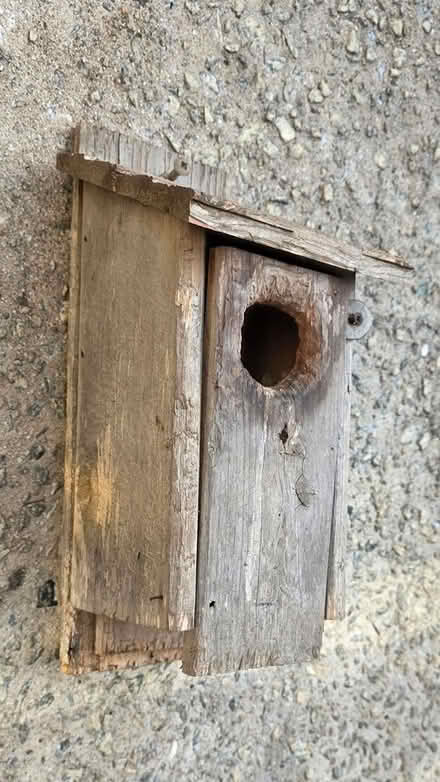 Photo of free Blue bird house (I 20& I 285 Decatur) #2