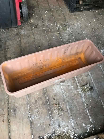 Photo of free Plastic plant trough (Arundel BN18) #1