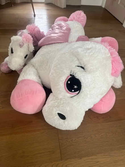 Photo of free Giant Pegasus soft toy (Bushey Village WD23) #3