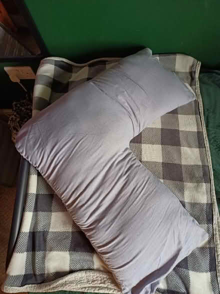 Photo of free V-shaped pregnancy pillow (Lazonby CA10) #1