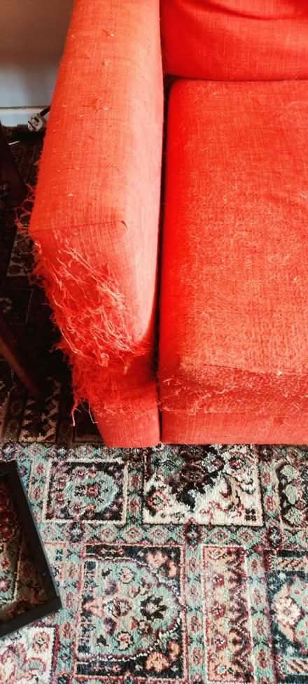 Photo of free Large sofa bed (Dringhouses YO24) #2