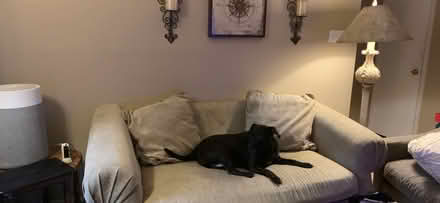Photo of free couch (Galleria area) #1