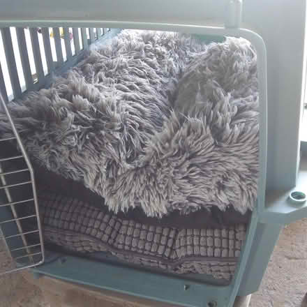 Photo of free Dog crate and bed (northwest Bethlehem) #1