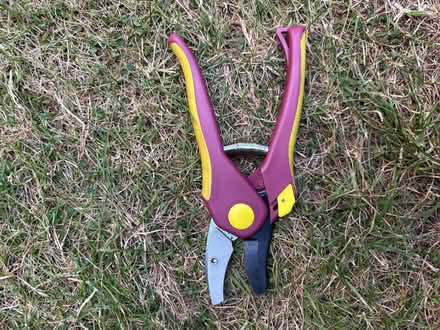 Photo of free Secateurs (Allerton L18) #4
