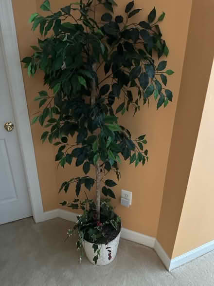 Photo of free Artificial plants (Olney) #1