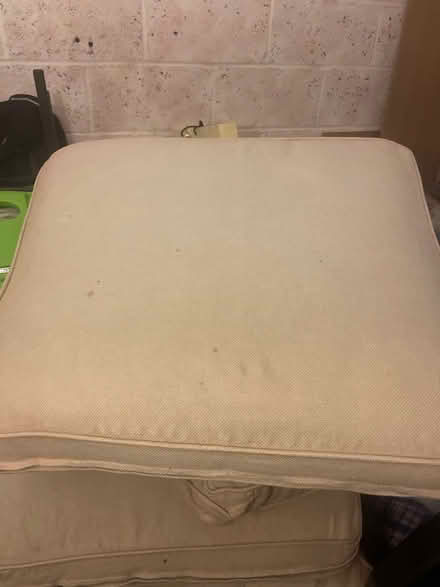 Photo of free Large cushions - pet beds (RG6) #2