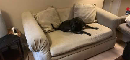 Photo of free couch (Galleria area) #2