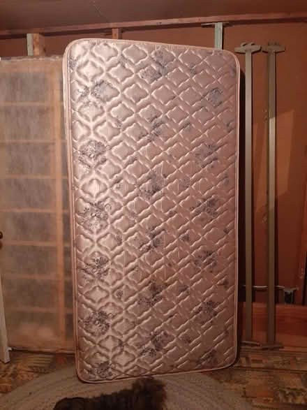 Photo of free Antique twin bedframe and boxspring (Near Prospect and Cherry Hill) #1