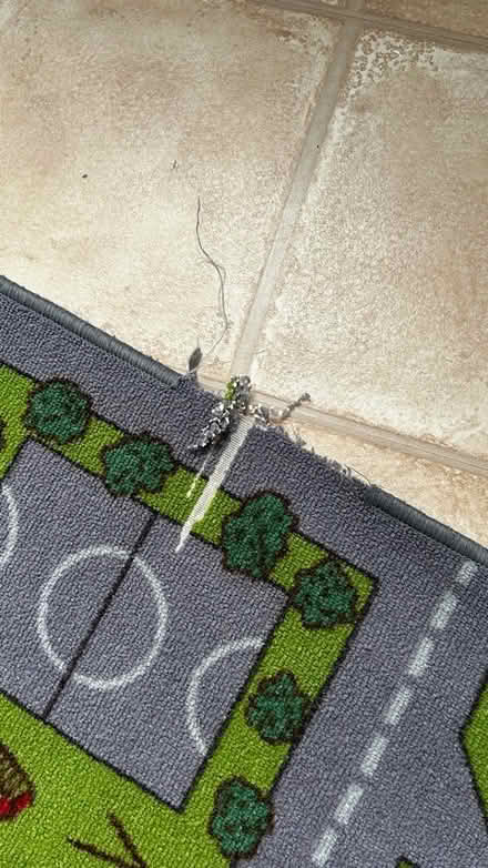 Photo of free Children’s play mat (Dolwyd LL31) #3