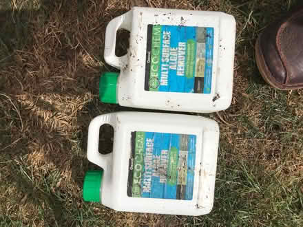 Photo of free algae remover (Arundel BN18) #1