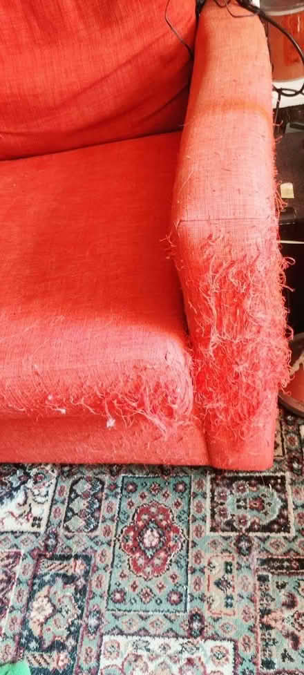 Photo of free Large sofa bed (Dringhouses YO24) #3
