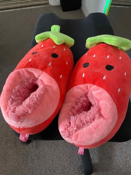 Photo of free Slippers (vange, basildon) #1