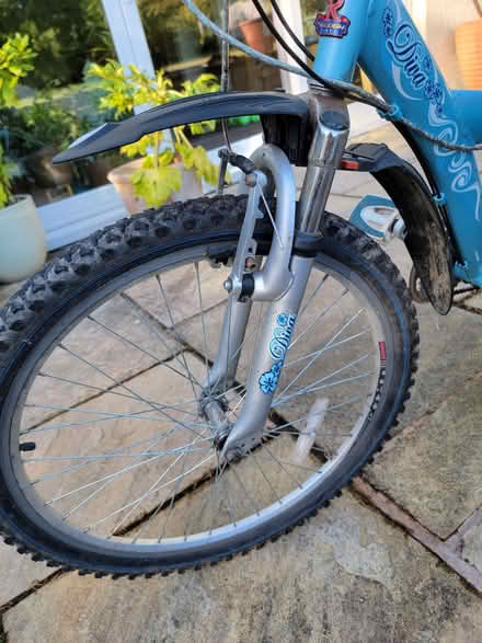Photo of free Girl's Bike (Great Strickland CA10) #4