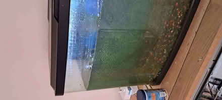 Photo of free Fish Tank (Shawbury SY4) #2