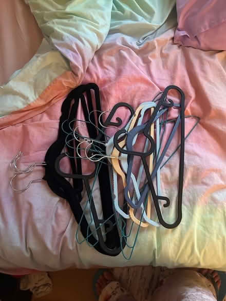Photo of free Hangers, a scale and two bins (St James’ Park) #3