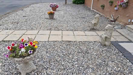 Photo of free Decorative garden / driveway stones (Dereham NR19) #1