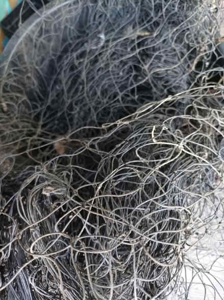 Photo of free Netting (Ipswich IP3) #1