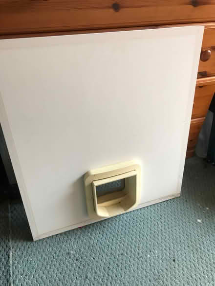 Photo of free UPVC Panel with cat flap (CO11) #3