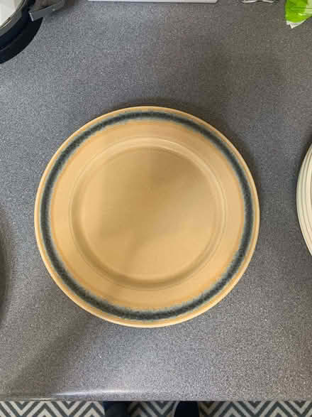Photo of free 10/11 inch plates (Westgate LA3) #2