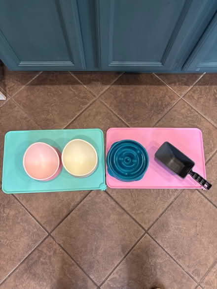 Photo of free 3 pet bowls, 2 mats, one food scoop (Evanston (Green Bay & Emerson)) #1