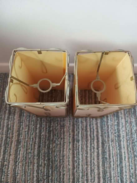 Photo of free Lampshades (Williamson Park LA1) #2