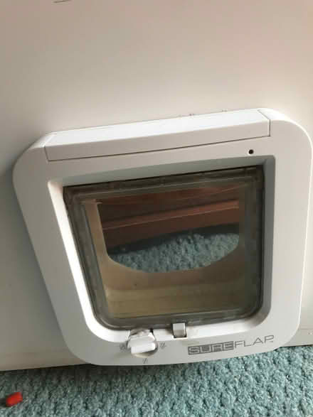 Photo of free UPVC Panel with cat flap (CO11) #2