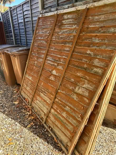 Photo of free 4 old fence panels (Chelmer village Chelmsford) #3