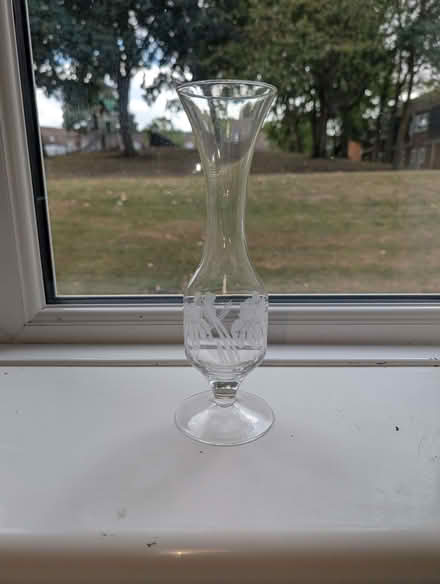 Photo of free Rose vase (Broughton MK10) #1