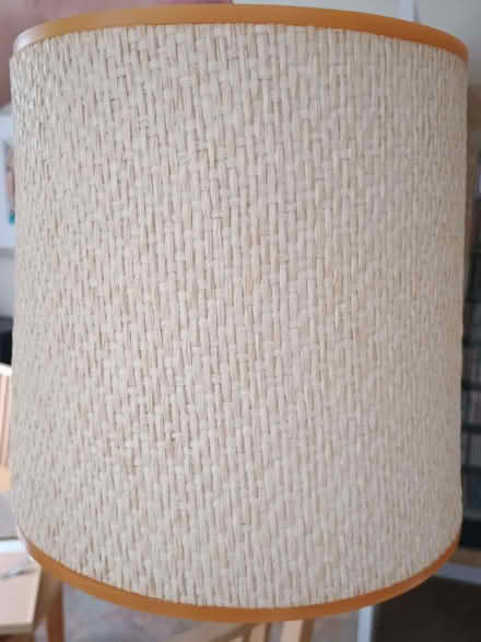 Photo of free Light shade (Bloomfield) #1